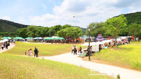 제10회 금광호수 달빛축제 모습/사진=안성시