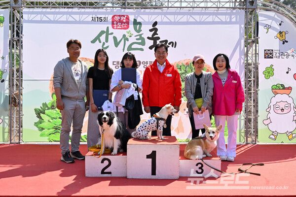 산나물축제 반려동물과 함께하는 '댕이트 엔 양평' 시상식 모습/사진=양평군