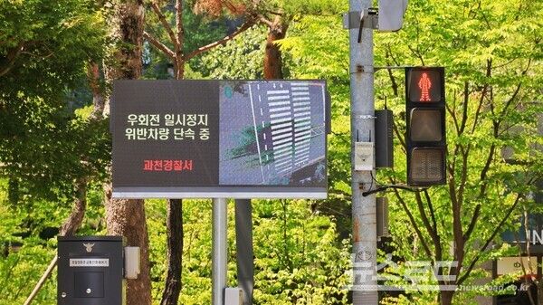 과천형 스마트 보행자안전시스템 (평시 화면)/사진=과천시