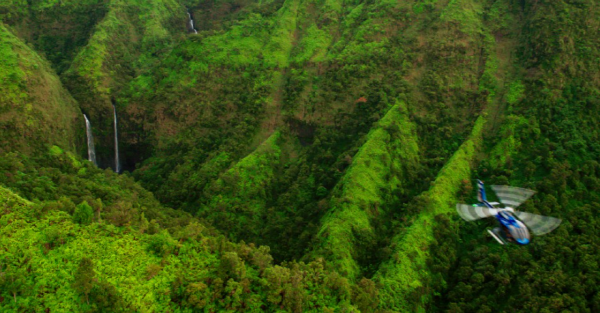 [출처=에스마케팅] 블루 하와이 헬리콥터
