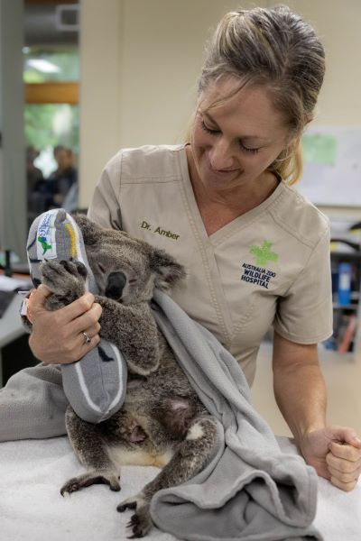 호주 퀸즐랜드 야생동물 병원 [사진=퀸즐랜드관광청]