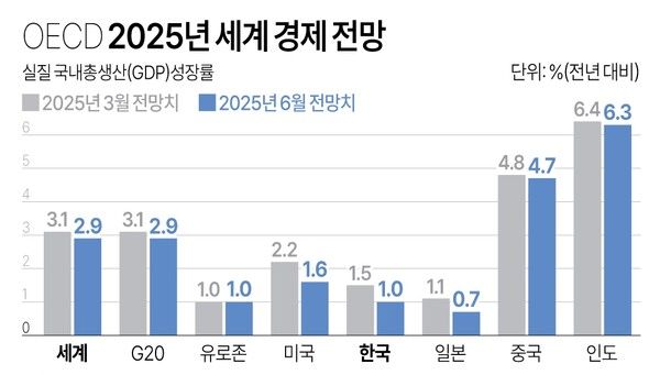 사진/연합뉴스