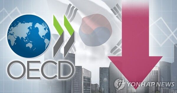ECD 한국경제 전망 하향 (PG)/연합뉴스