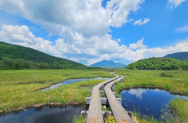 [하나투어 사진자료]일본 오제습지