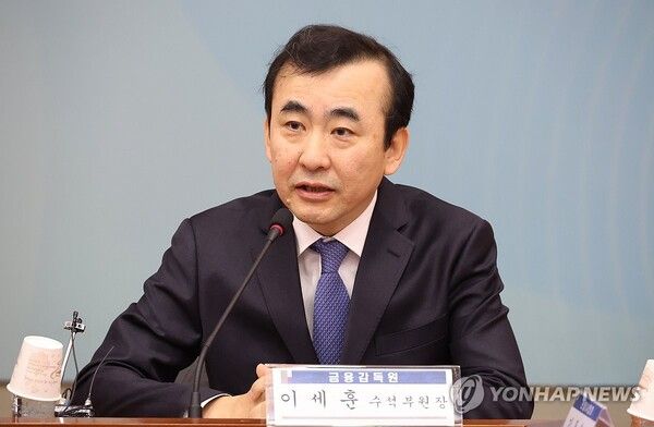 발언하는 이세훈 금융감독원 부원장/연합뉴스