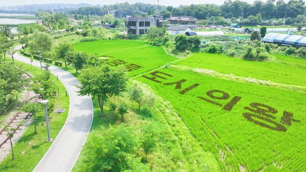&nbsp;“명품도시&nbsp;의왕”…이색적&nbsp;벼&nbsp;아트&nbsp;눈길&nbsp;끌어