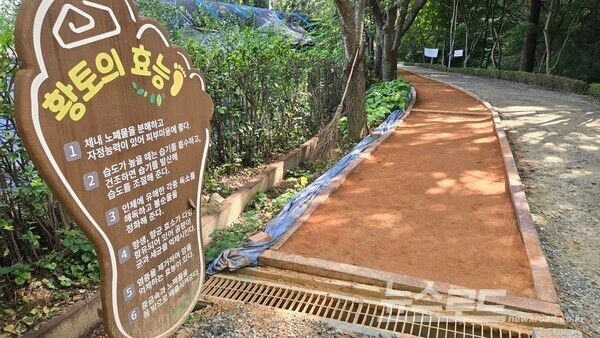 수원 광교산 입구 황톳길이 개선되서 쾌적한 모습/사진=경기도일간기자단