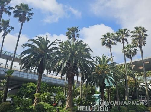 제주공항 전경/연합뉴스