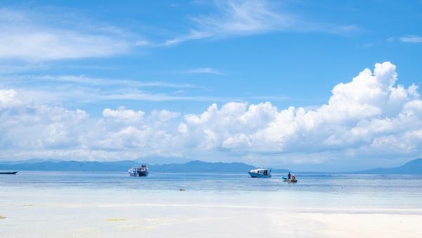 출처=마케팅하이랜즈