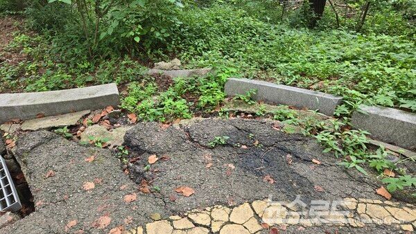 성곽 도로가 무너져 내려앉은 모습/사진=경기도일간기자단