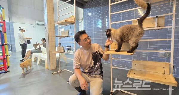 사단법인 여주시 농촌 크리에이투어 여주랑의 사무국장을 맡고 있는 주주팜 윤정용 대표가 냥이들을 돌보고 있다. [사진=서진수기자]