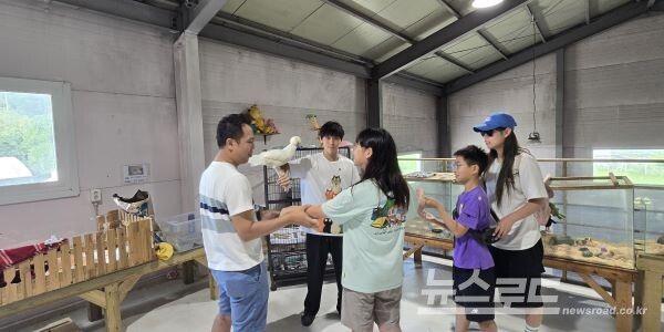 주주팜에서 다양한 동물들과 교감 중인 가족여행 체험단 [사진=서진수기자]