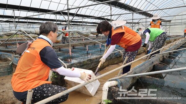 과천시 자원봉사단이 가평군 수해복구 현장에서 봉사를 하고 있다(오른쪽 신계용 과천시장)/사진=과천시