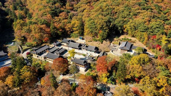 대원사를 휘감은 가을 단풍 [사진=산청군]