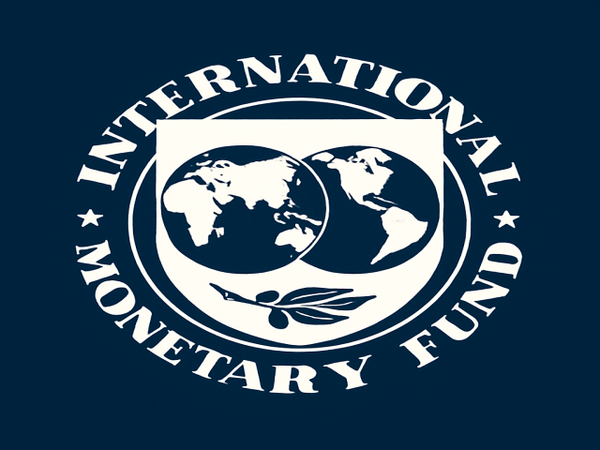 [사진=IMF]