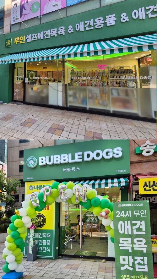 사진제공=버블독스
