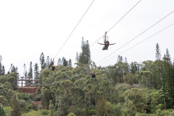하와이에서 즐기는 집라인 [사진=하와이관광청]