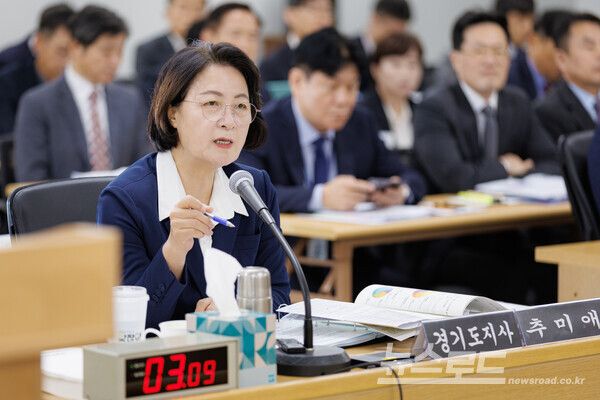 13일 오전 경기도청 율곡홀에서 열린 2026 행정안전위원회 국정감사에서 추미애 경기도지사가 질의에 답변하고 있다./사진=경기도