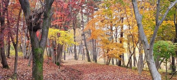 사진제공=더 마구(The Magu)’