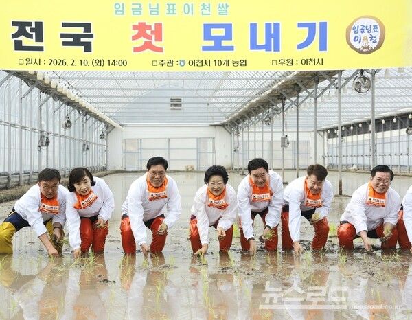 김경희 시장(가운데)과 시도 의원 및 관계자들이 모내기를 하고 있다./사진=이천시&nbsp;