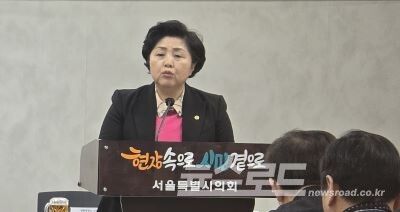 김영옥 서울시의회 보건복지위원장 [사진=서진수기자]