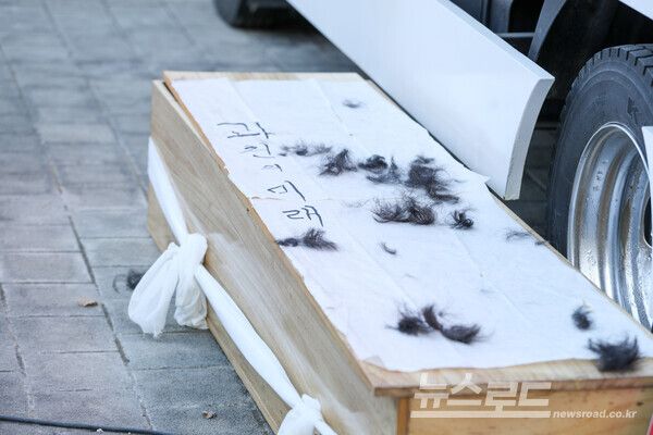 정부의 부동산 정책에 강력히 반발하며 관 퍼포먼스를 보이고 있다./사진=비대위&nbsp;