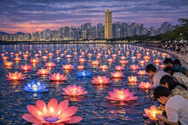 위시 가든 [사진=서울관광재단]