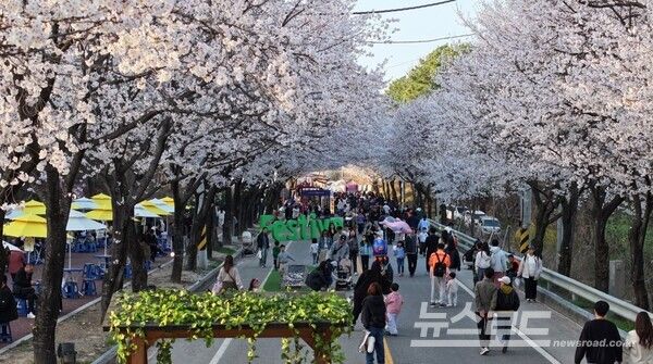 제10회 여주흥천남한강벚꽃축제에 상춘객들 모습./사진=여주시&nbsp;