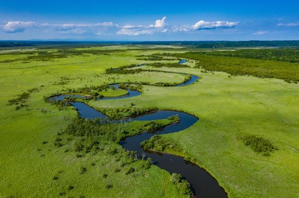 하늘에서 바라본 쿠시로 습원 국립공원 전경. /사진=한진트래블