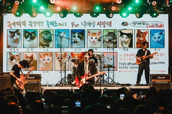 밴드 극동아시아타이거즈 제공