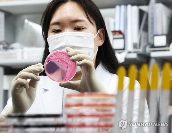 식중독균 배양분리작업/연합뉴스