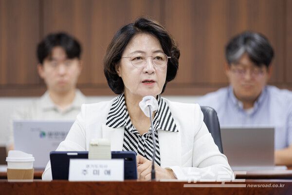 추미애 지사가&nbsp;정부서울청사에서 열린 '제2차 접경지역 평화안전 연석회의'에서 '평화경제특구' 조성 사업의 남북협력사업 지정을 제안했다./사진=경기도
