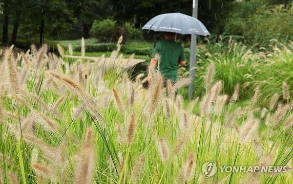 사진/연합뉴스