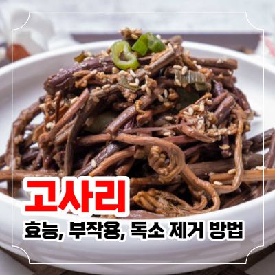 고사리 효능 9가지와 부작용 및 독소 제거 방법