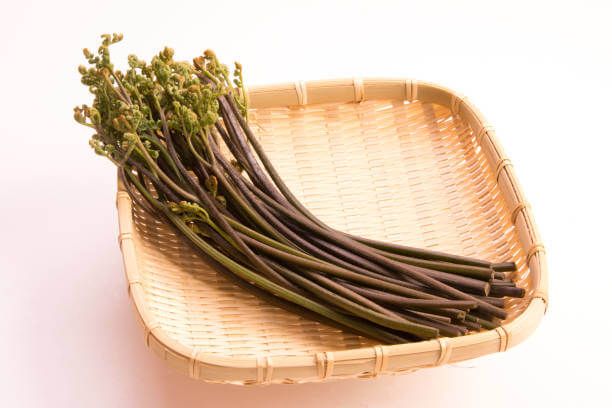 고사리 효능 9가지와 부작용 및 독소 제거 방법