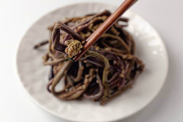 고사리 효능 9가지와 부작용 및 독소 제거 방법