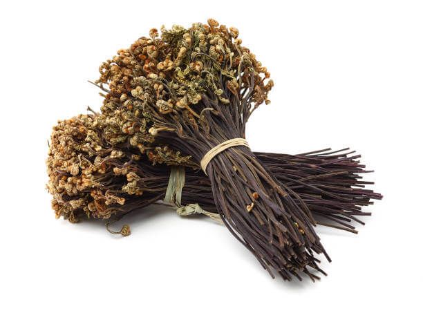 고사리 효능 9가지와 부작용 및 독소 제거 방법