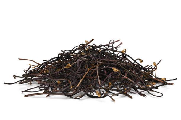 고사리 효능 9가지와 부작용 및 독소 제거 방법