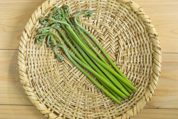 고사리 효능 9가지와 부작용 및 독소 제거 방법