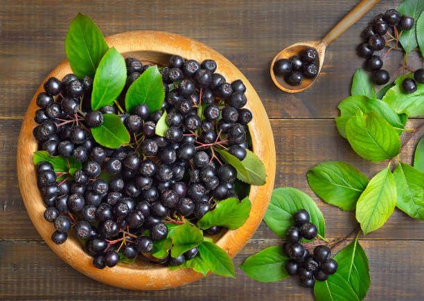 눈에 좋은 베리 종류와 효능 아로니아