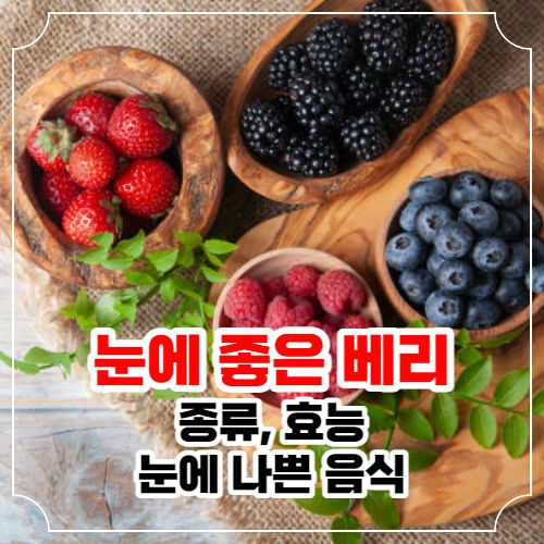 눈에 좋은 베리 종류 효능 및 눈에 나쁜 음식