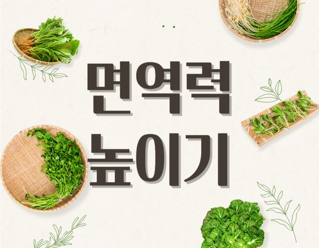 면역력 높이는 6가지 비법 건강한 삶의 팁