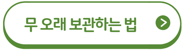 무 보관법 및 효능 10가지와 부작용