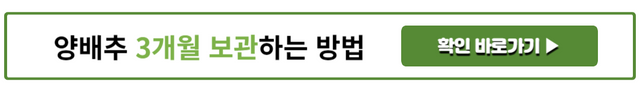 양배추 3개월 보관 방법