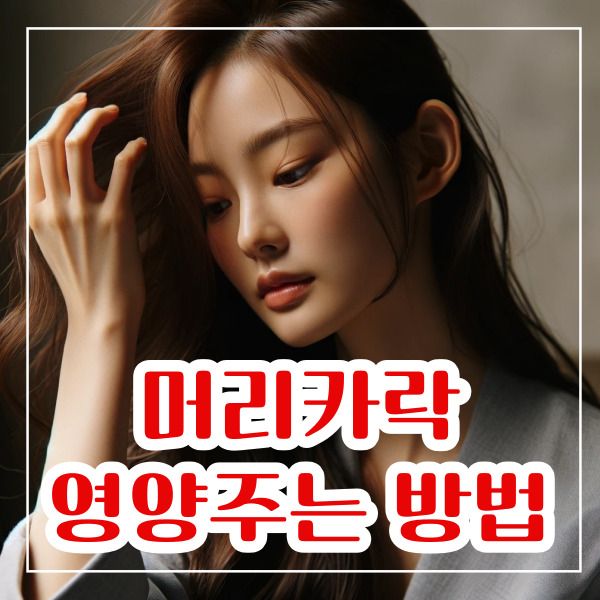 머리카락 영양주는 방법