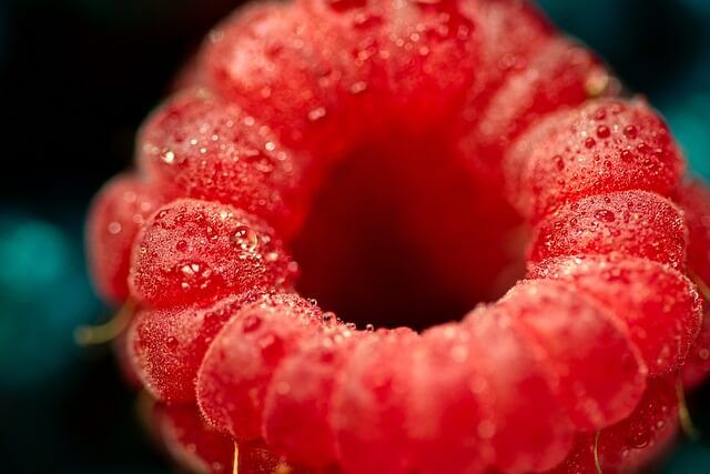 산딸기 효능 10가지 및 부작용 및 주의할 점