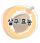 살구 효능 11가지와 부작용 및 먹는 법