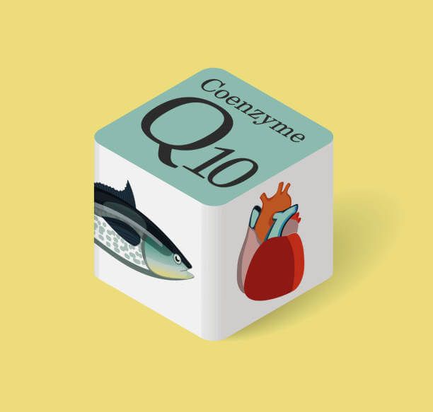 이 이미지는 코큐텐 효능 10가지 부작용 및 섭취 방법에 관한 보충설명 사진입니다.