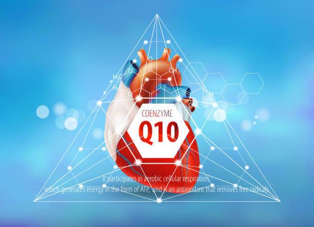 이 이미지는 코큐텐 효능 10가지 부작용 및 섭취 방법에 관한 보충설명 사진입니다.