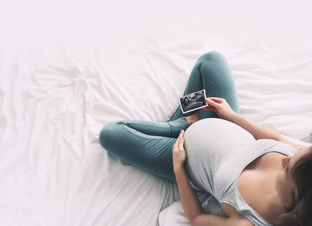 이 이미지는 임신 극초기증상 및 시기 관리 방법에 관한 포스팅을 설명하기 위한 보충사진입니다.